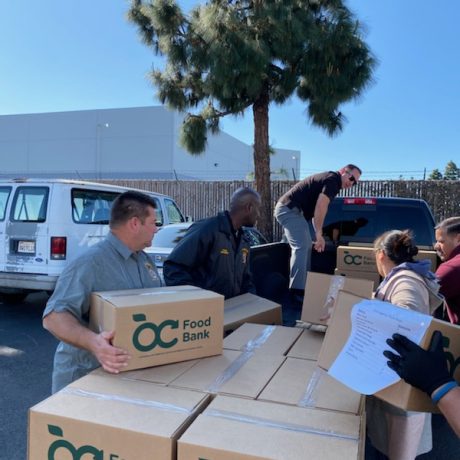 Food bank boxes